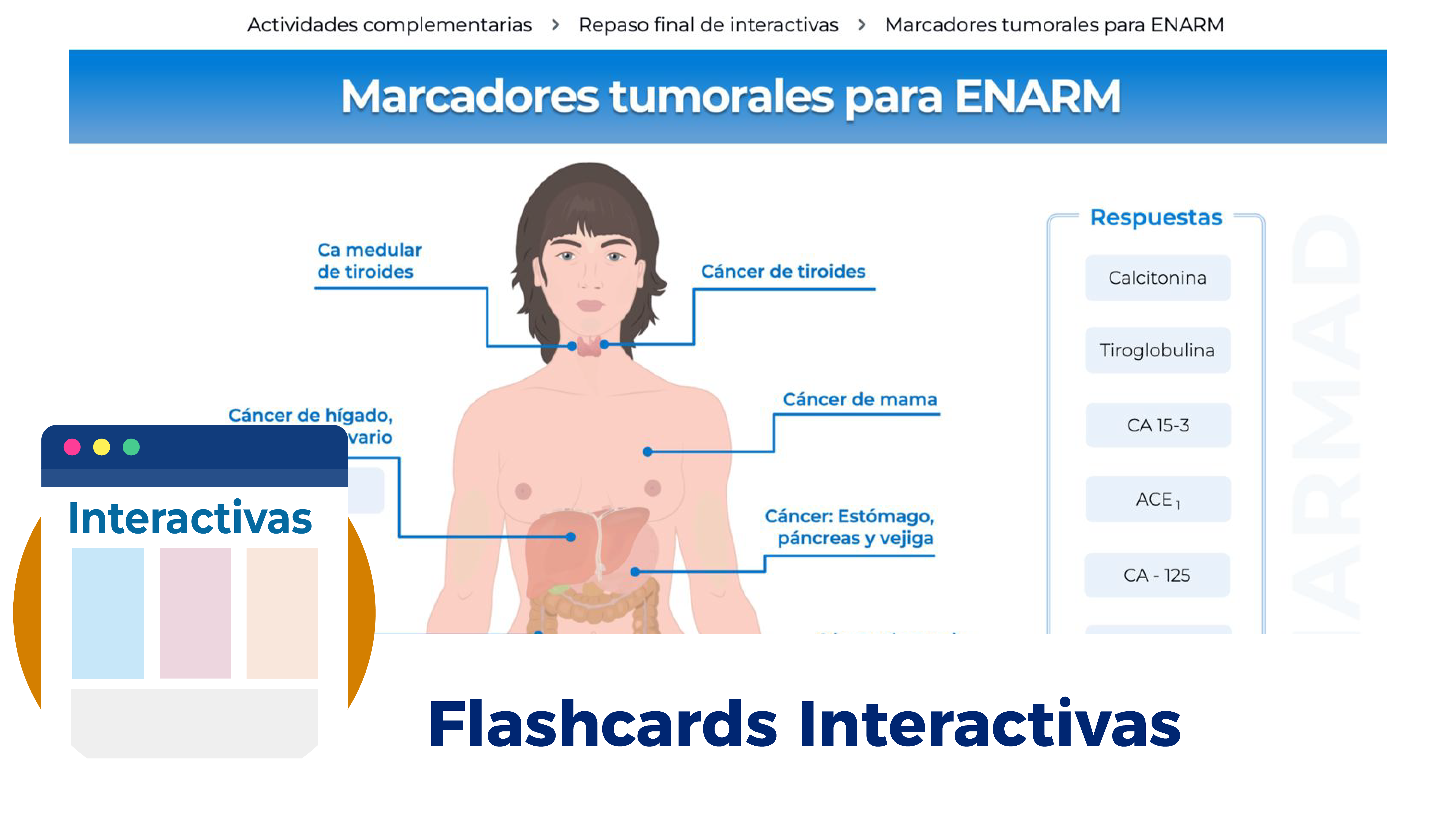 TarjetasActividadesComplementarias-04